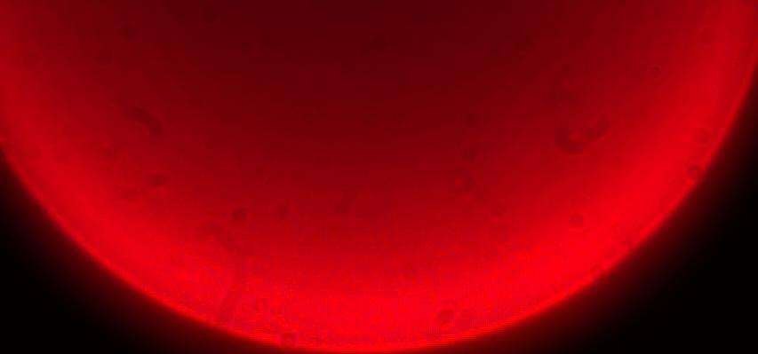 Cropped close-up of the LED from the center frame.
