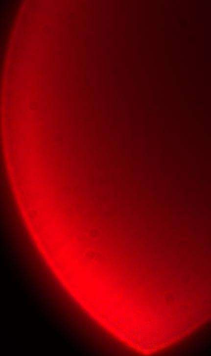 Cropped close-up of the LED from the right frame.